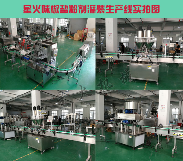 味椒盐粉剂灌装生产线-全自动味椒盐灌装设备厂家实拍